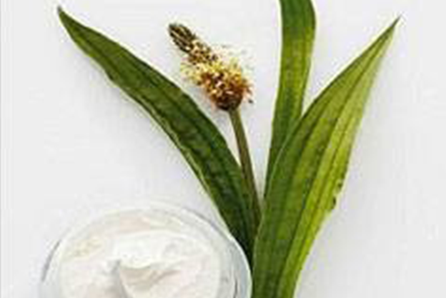skin-tips